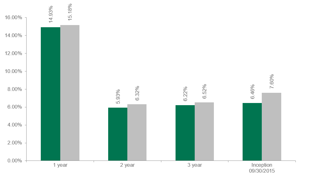 Dolan McEniry High Yield Performance