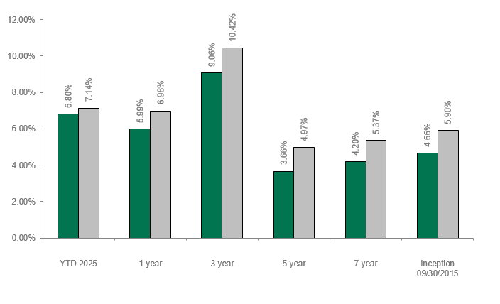 Dolan McEniry High Yield