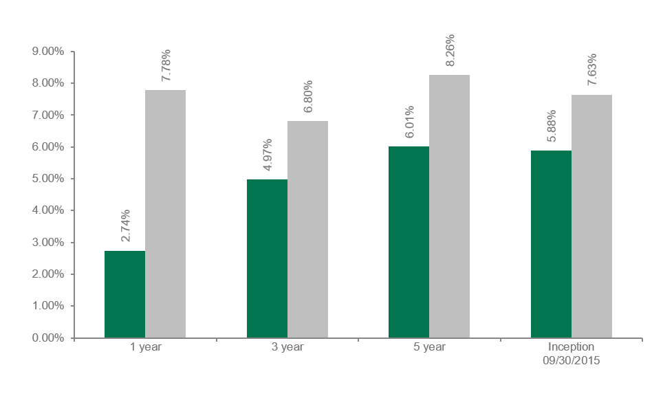 Dolan McEniry High Yield Performance